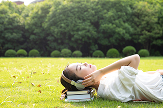 留学咨询，香港城市大学应用社会学申请要求