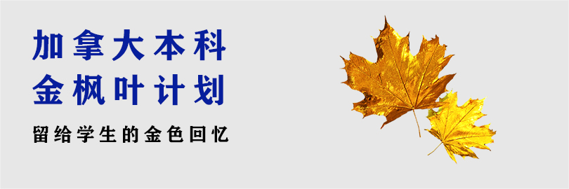 加拿大-本科申请计划